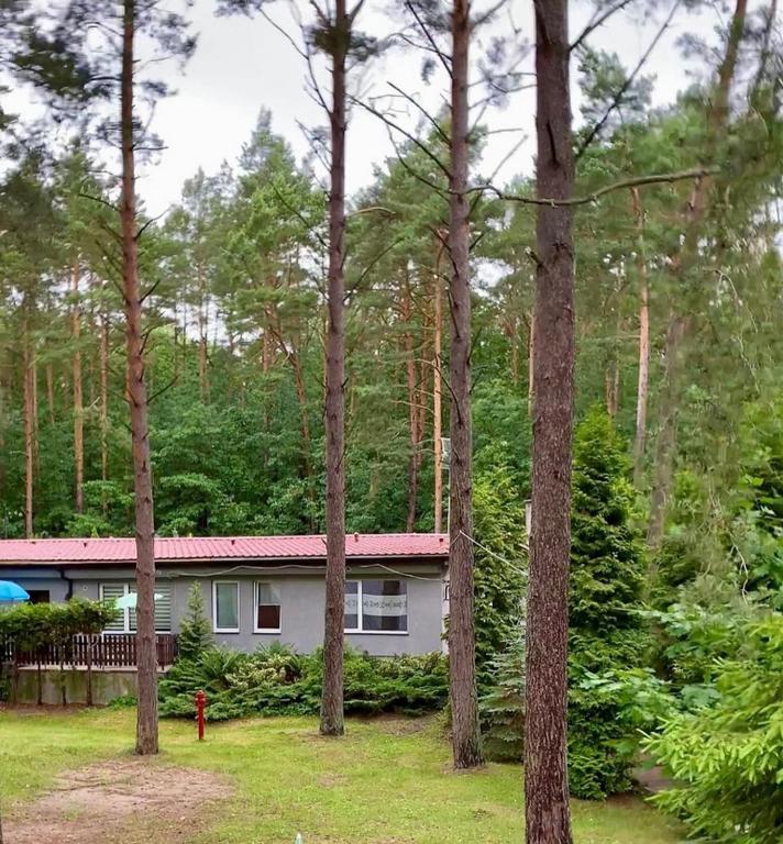 Osrodek Wypoczynkowy Zakatek Villa Katy Rybackie Exterior photo